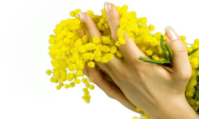 consegna fiori e mimosa