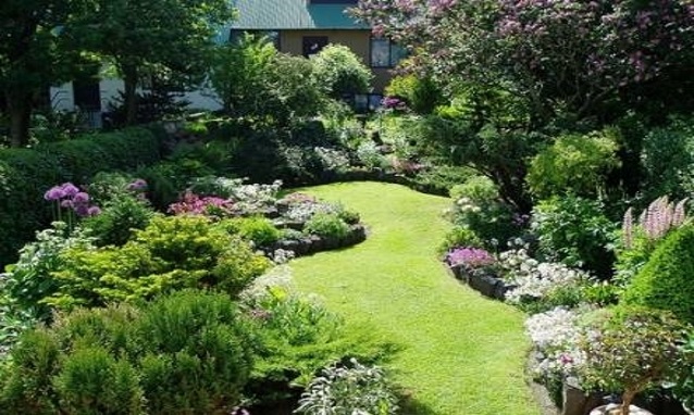 piante verdi o piante fiorite per il giardino