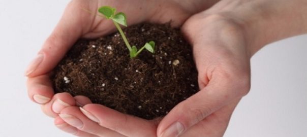 terreno per fiori