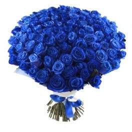 Bellissimo bouquet con 100 meravigliose rose blu