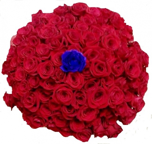 99 rose rosse + una rosa blu al centro del bouquet