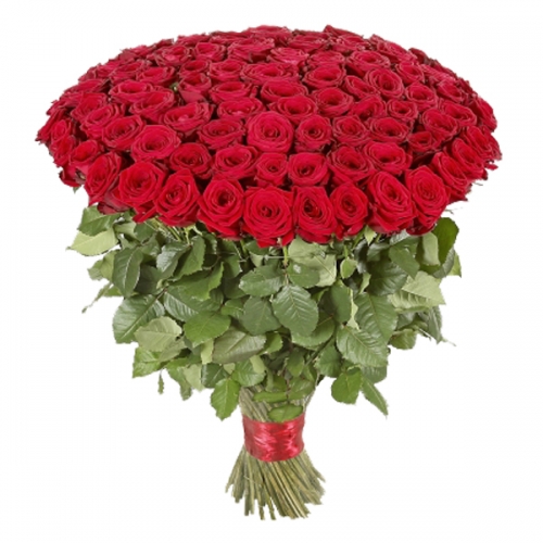 Mazzo 101 rose rosse acquisto e invio online consegna a domicilio