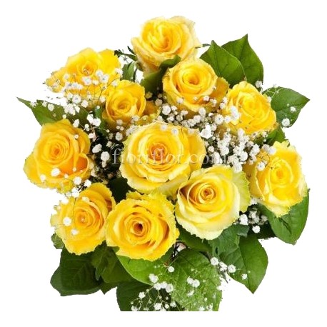 11 Yellow Roses