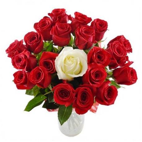 20 Red Roses And 1 White Rose In The Center