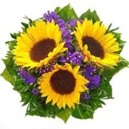 Girasoli con statice viola e verde decorativo