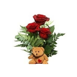 Rose rosse e orsetto di peluches