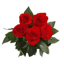 bouquet rose rosse da 5