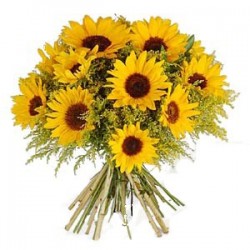 Bellissimo bouquet con 17 girasoli con verde decorativo