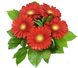 Bouquet gerbere rosse