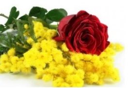 8. Marzo - Bouquet con 1 rosa rossa e mimosa