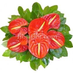 Boqueut con anthurium rossi