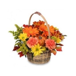 Cesto fiori freschi misti color arancio per composizione Halloween