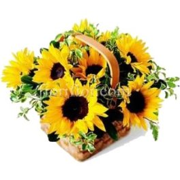 Special Sunflower Plexiglass(12 rose blu e 1 girasole) fiori stabilizzati