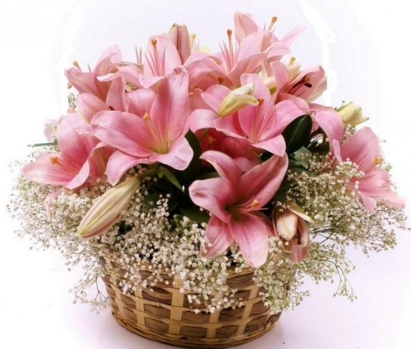 Cesto di fiori freschi composizione con lilium rosa