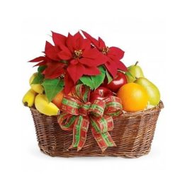 Cesto per Natale con frutta fresca mista di stagione e poinsettia rossa