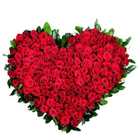 Mazzo di 500 rose rosse a forma di cuore
