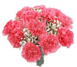 Bouquet Garofani Rosa