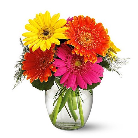 Bouquet Gerbere miste colorate in vaso di vetro