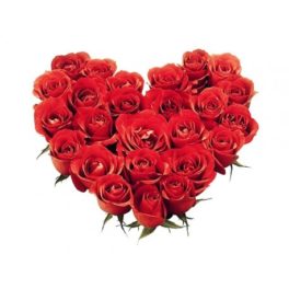 Cuscino di rose rosse a forma di cuore