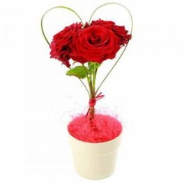 Composizione cuore con 3 rose rosse in vasetto