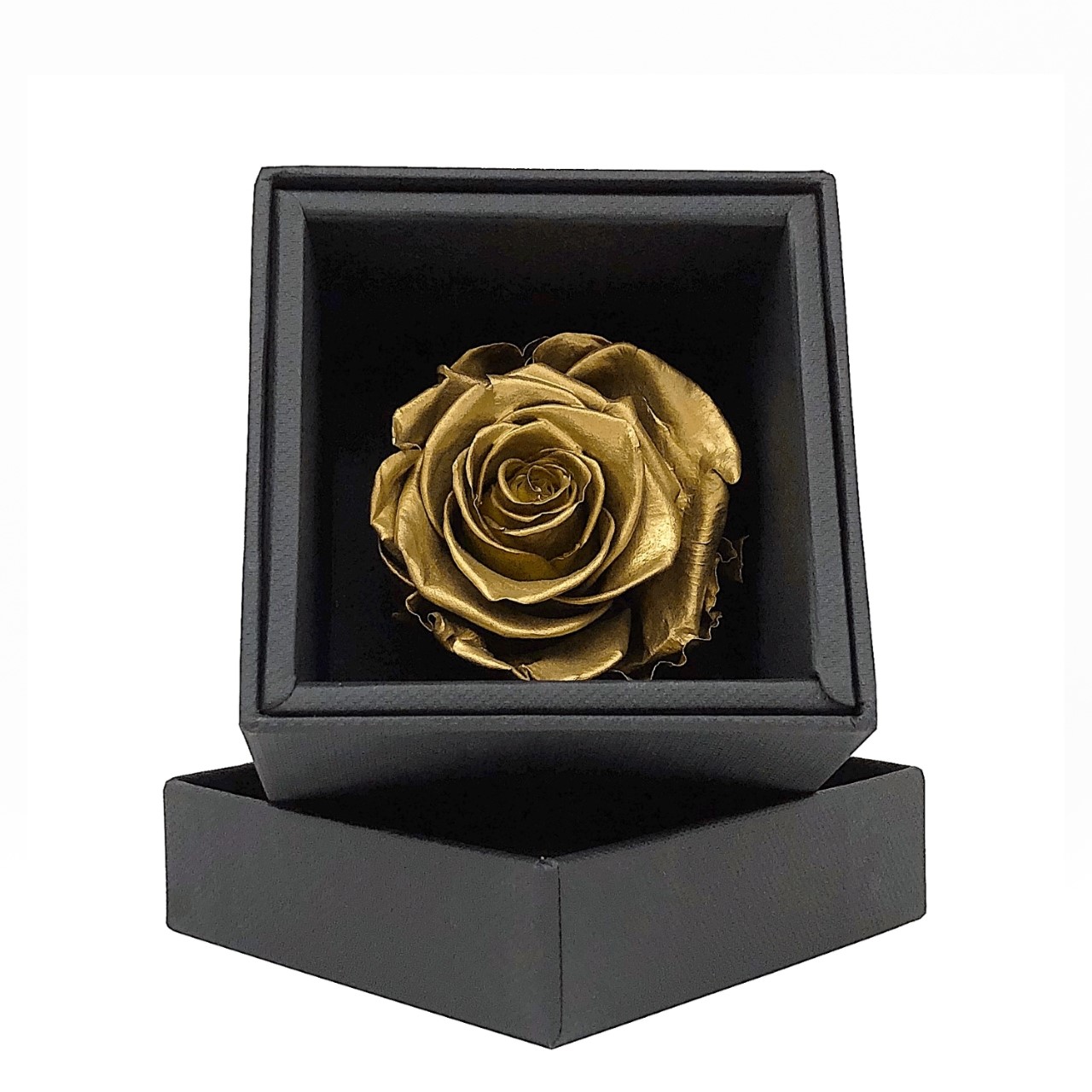 Rosa Oro stabilizzata vera in box nero elegante per anniversario