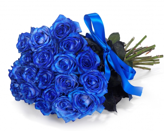 25 Rose Blu