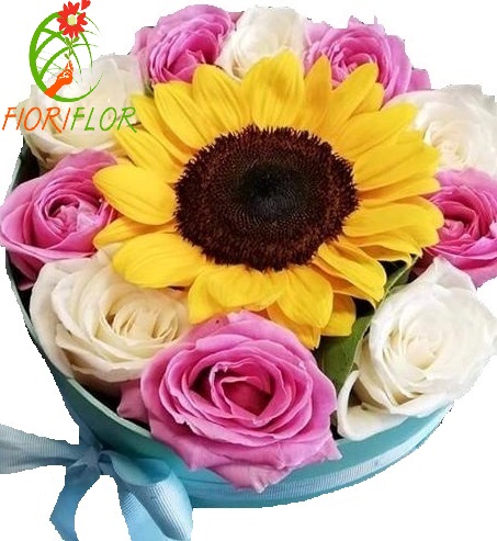 Scatola regalo Composizione con 1 GiraSole e Rose