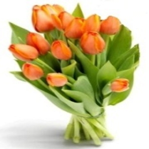 Bouquet di Tulipani Arancio