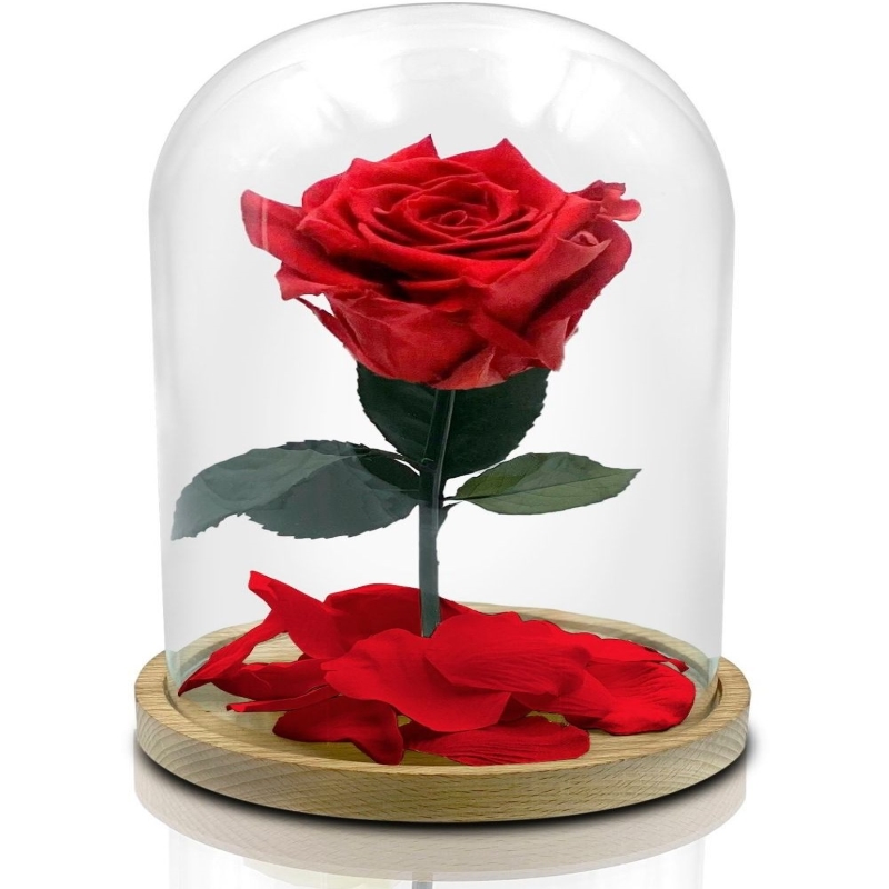 Rosa Rossa Stabilizzata “La Bella E La Bestia” In Cupola Vetro