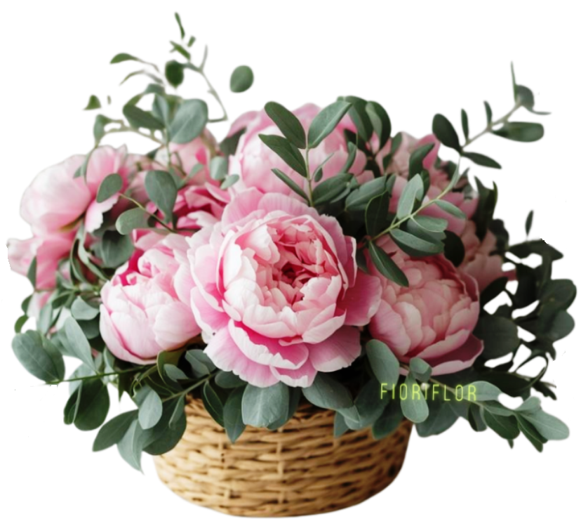 cesto romantico con peonie rosa