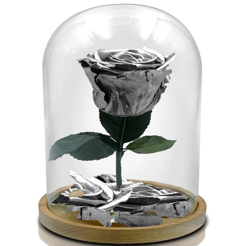 rosa la bella e la bestia argento