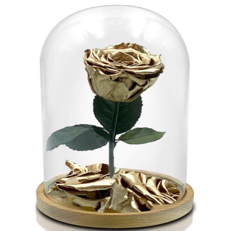 rosa la bella e la bestia oro